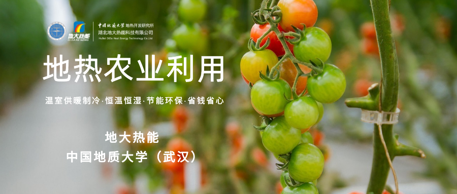 利用地?zé)峤鉀Q糧食生產(chǎn)問(wèn)題并促進(jìn)發(fā)展-地?zé)豳Y源開(kāi)發(fā)利用-地大熱能