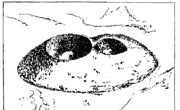 盤點(diǎn)各類地質(zhì)地貌類型-地?zé)豳Y源開發(fā)-地大熱能